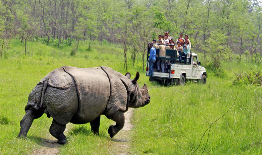 Chitwan-National-Park.jpg